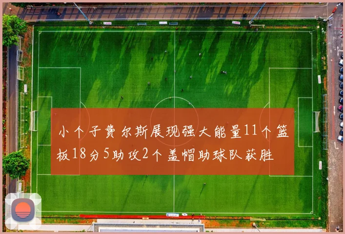 小个子费尔斯展现强大能量11个篮板18分5助攻2个盖帽助球队获胜