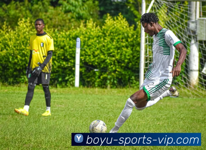 博鱼体育APP 高清赛事图